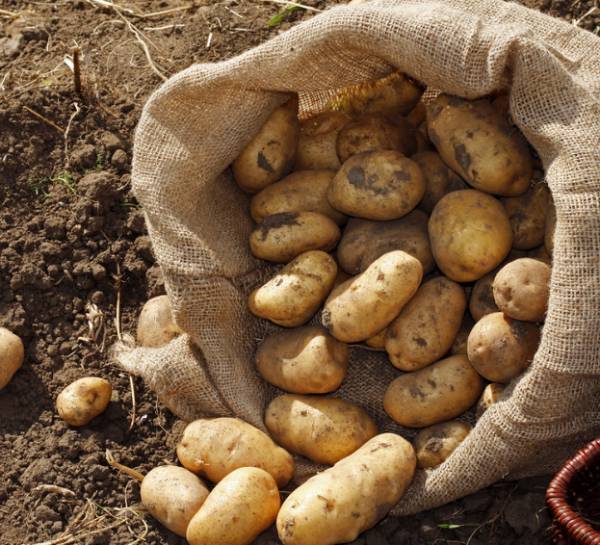 seed traceability